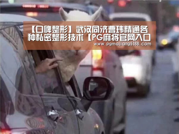 【口碑整形】武汉同济曹玮精通各种私密整形技术【PG麻将官网入口】(图4) PG麻将官方入口