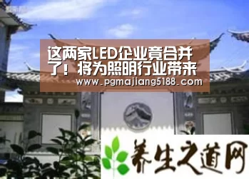 这两家LED企业竟合并了!将为照明行业带来更多产品选择|PG电子娱乐中心(图2) PG电竞平台