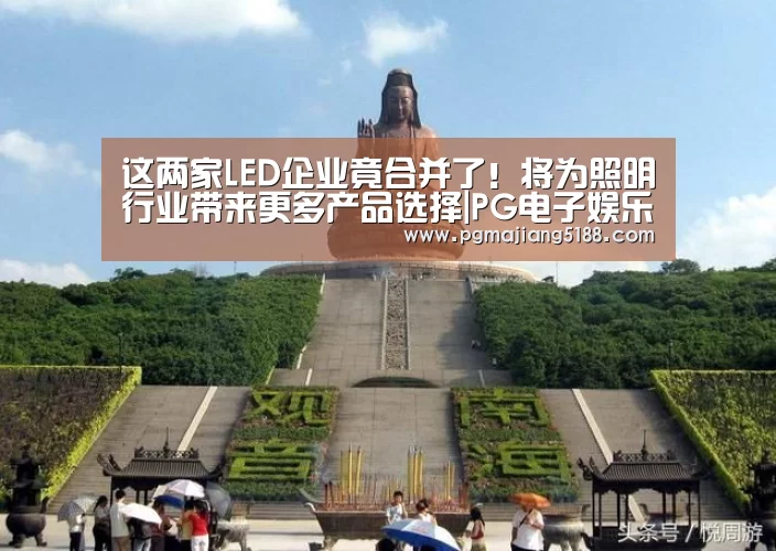 这两家LED企业竟合并了!将为照明行业带来更多产品选择|PG电子娱乐中心(图4) PG麻将官网入口