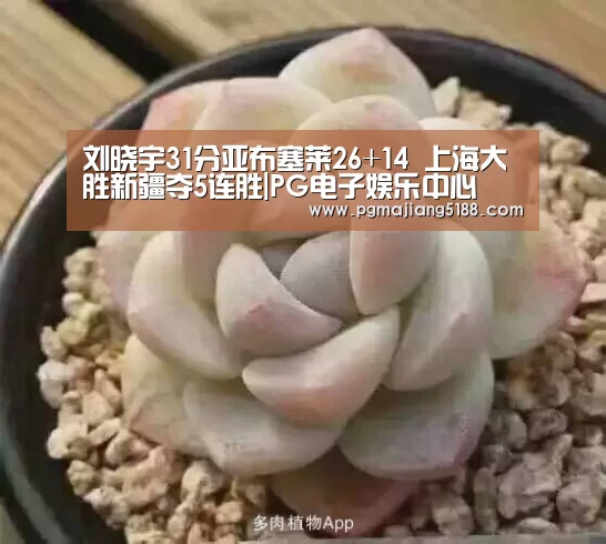 刘晓宇31分亚布塞莱26+14 上海大胜新疆夺5连胜|PG电子娱乐中心(图1) PG麻将官方入口
