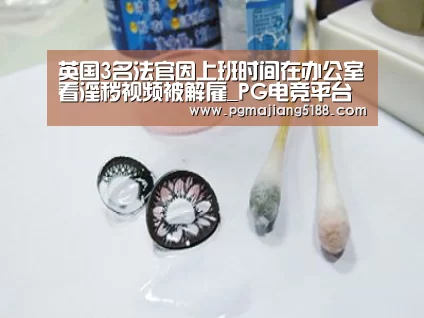 PG麻将官方入口