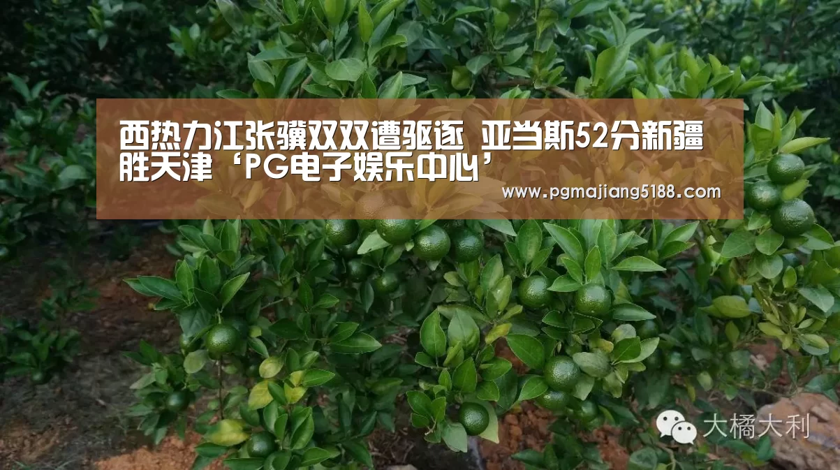 西热力江张骥双双遭驱逐 亚当斯52分新疆胜天津‘PG电子娱乐中心’(图3) PG麻将官方入口